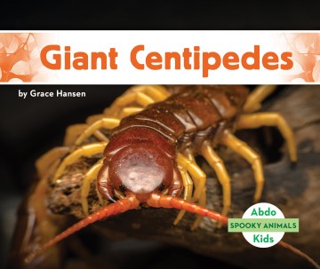 Giant Centipedes Online Sale